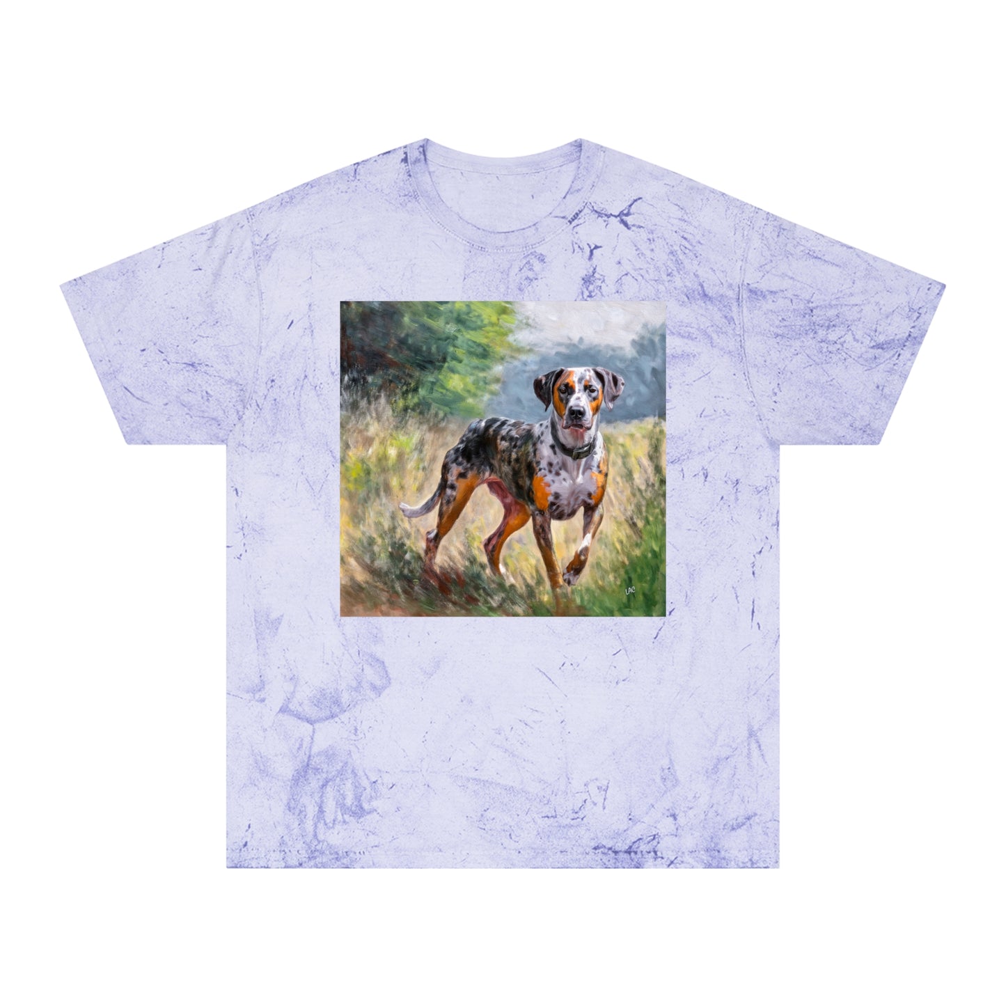 Catahoula Unisex Relaxed Fit Color Blast T-Shirt