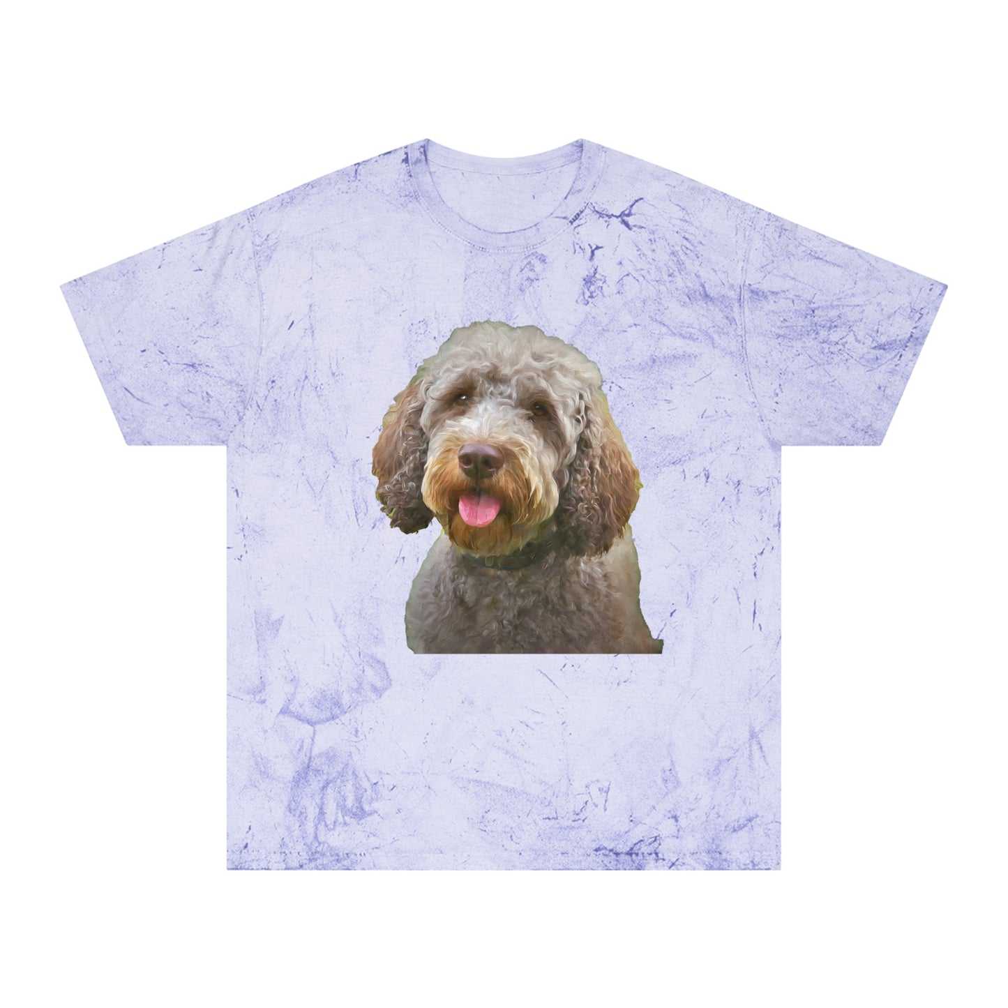 Lagotto Romagnolo 'Italian Truffle Dog' Relaxed Fit Color Blast T-Shirt