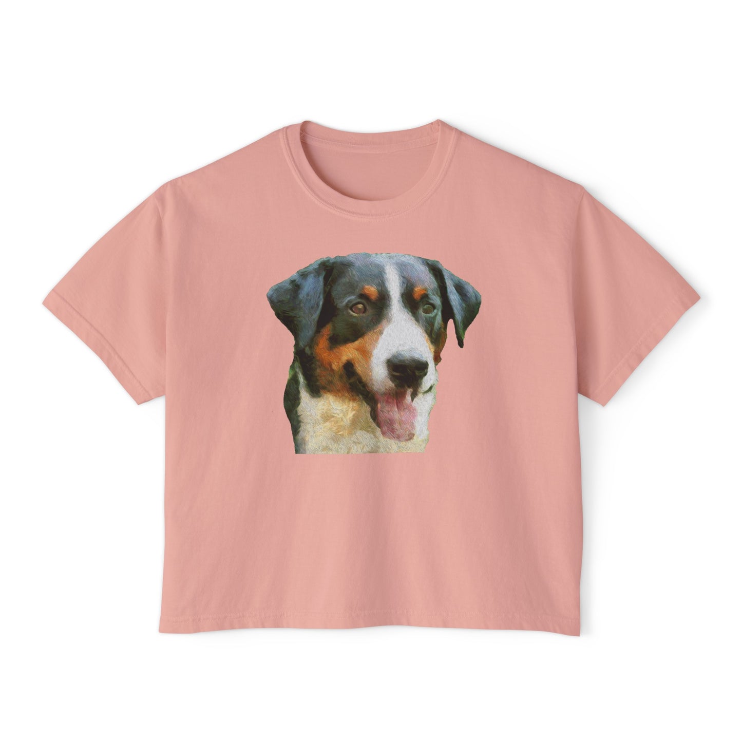 Appenzeller Sennenhund Women's Oversized Boxy Tee