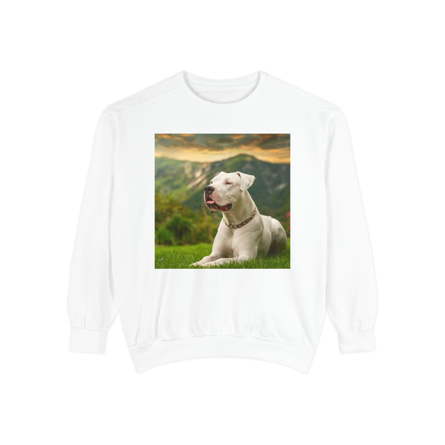 Dogo Argentino - Unisex Garment-Dyed Sweatshirt