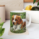 Welsh Springer Spaniel   -  Ceramic Mug 11oz