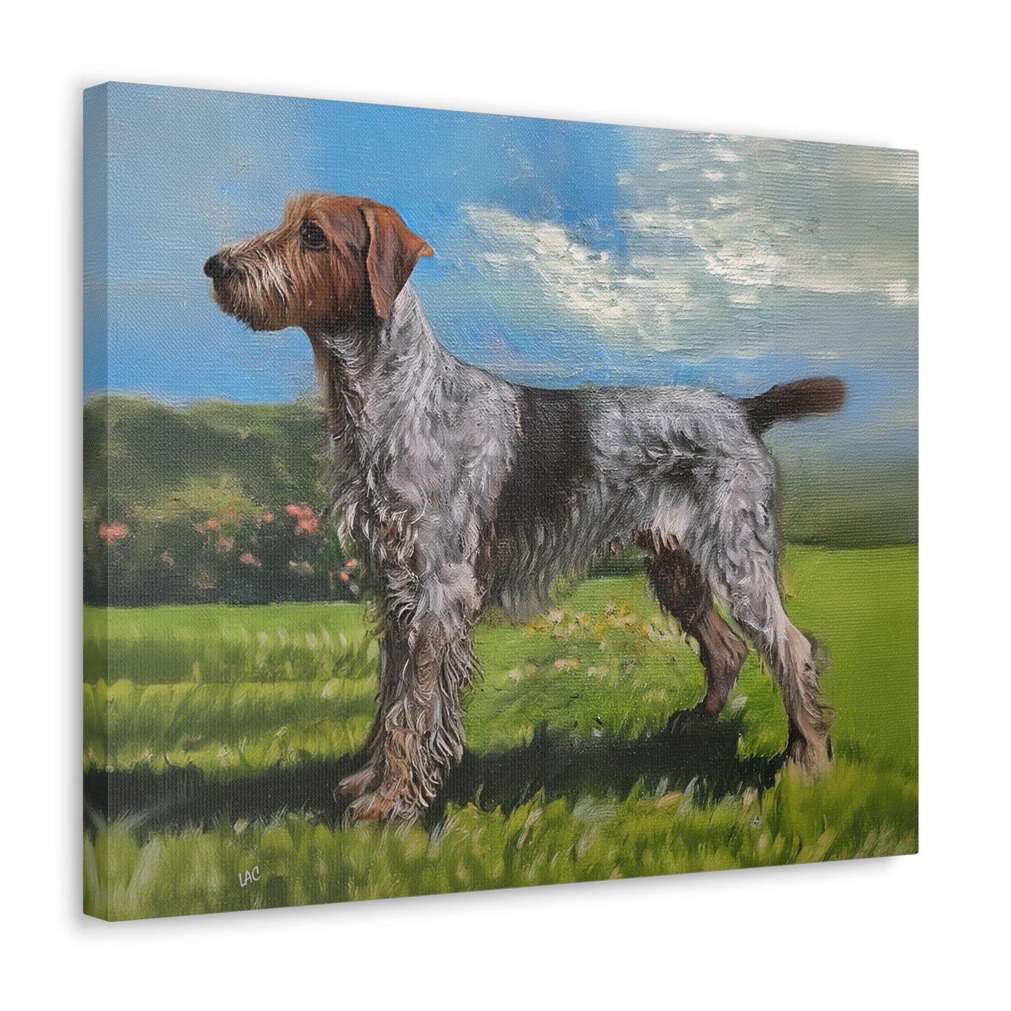 Wirehaired Pointing Griffon Canvas Gallery Wraps 20 x 16 Inches