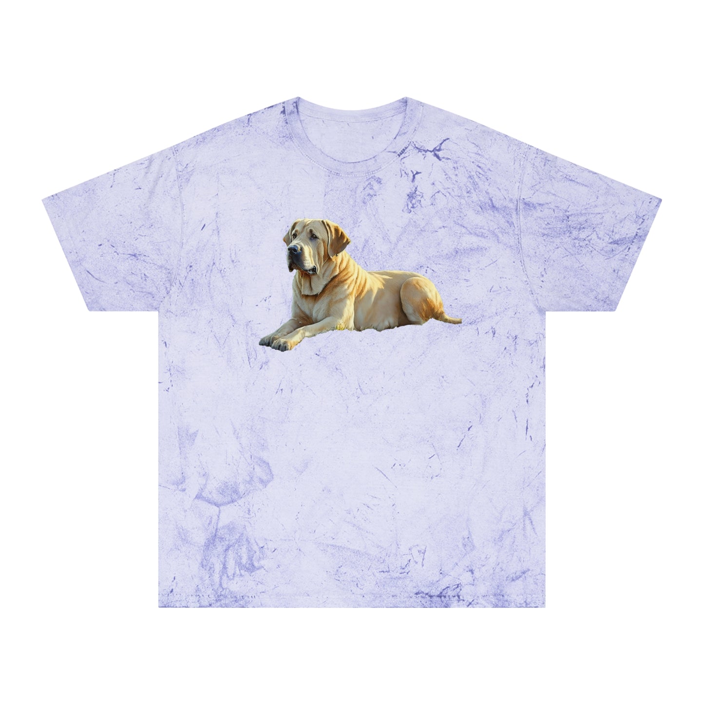 Broholmer Love Unisex Colour Blast T-Shirt
