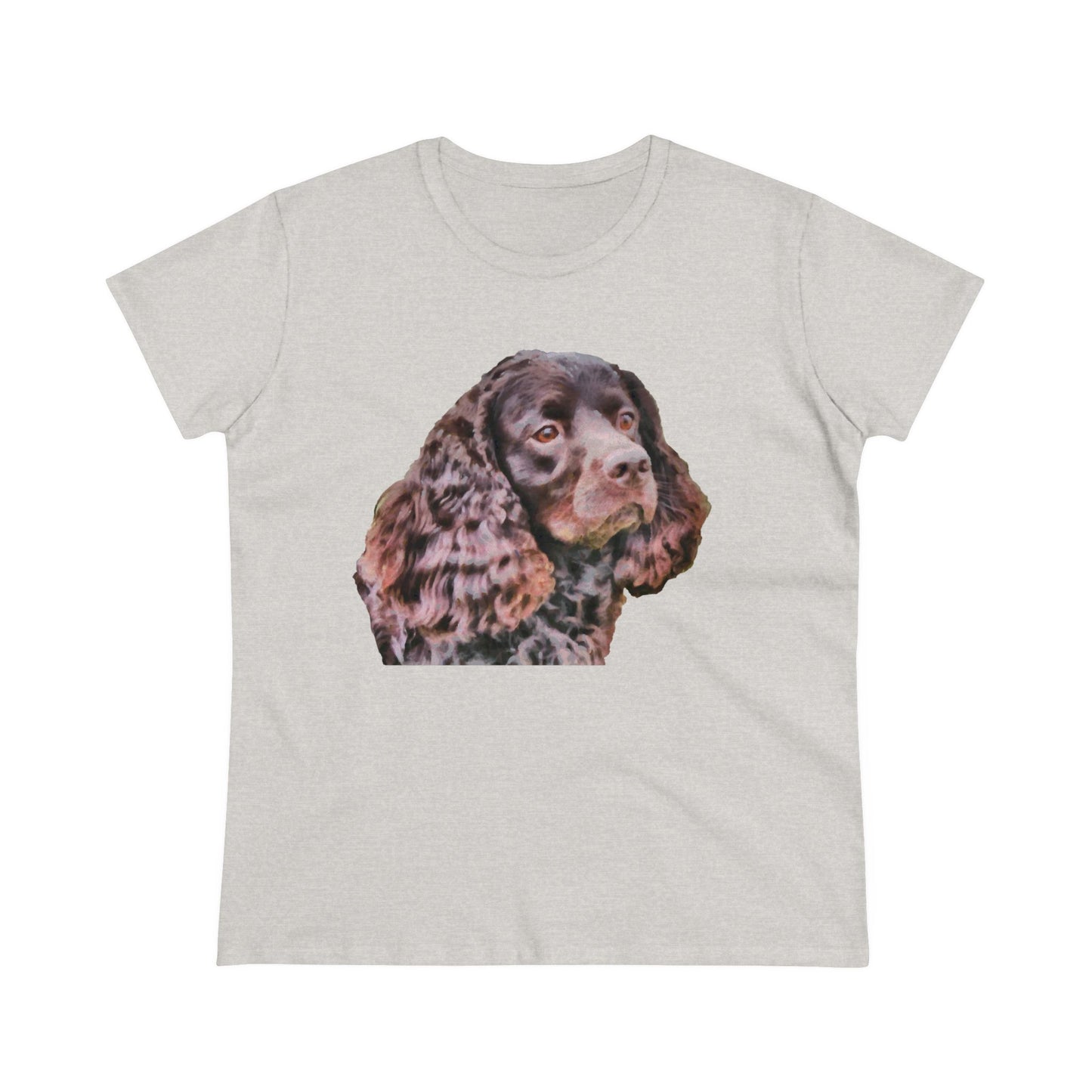 American Water Spaniel Women's Midweight Cotton Tee