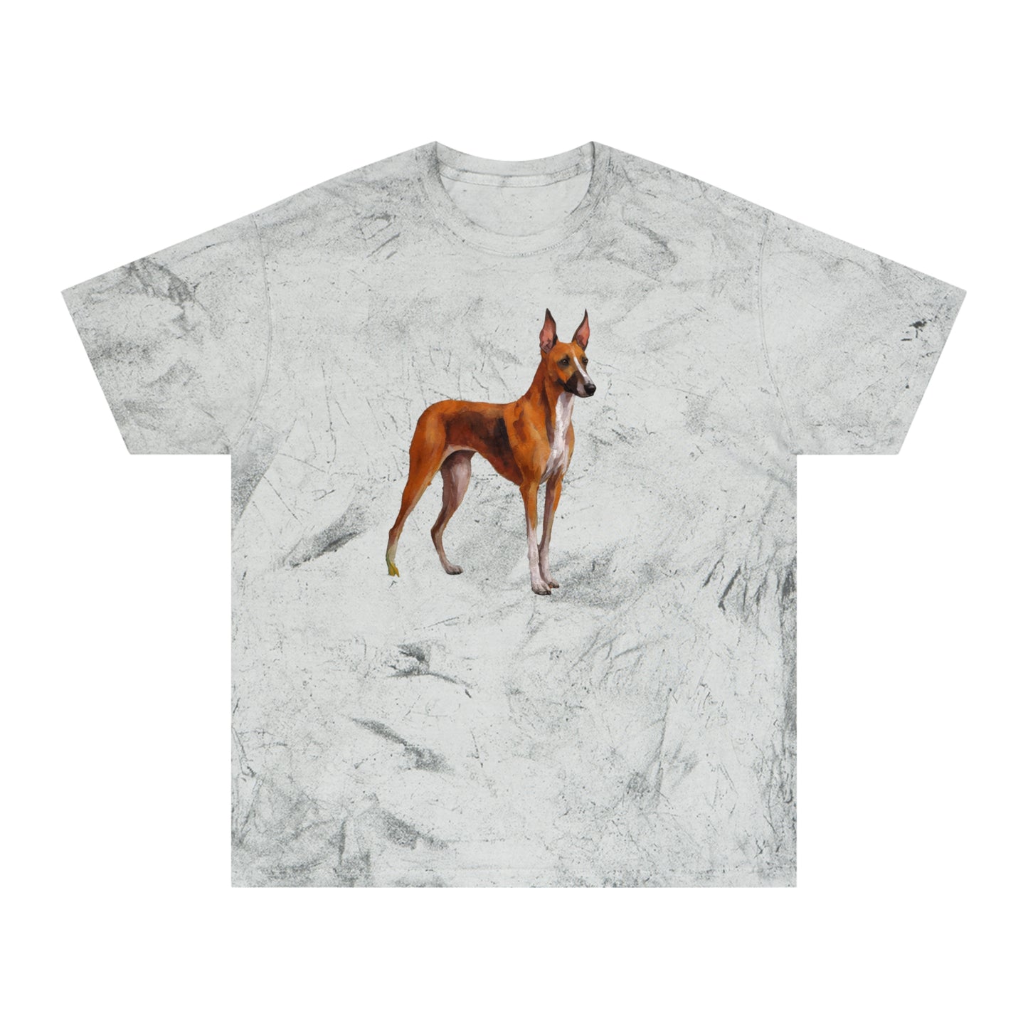 Azawakh Unisex Color Blast T-Shirt: Wear Your Art