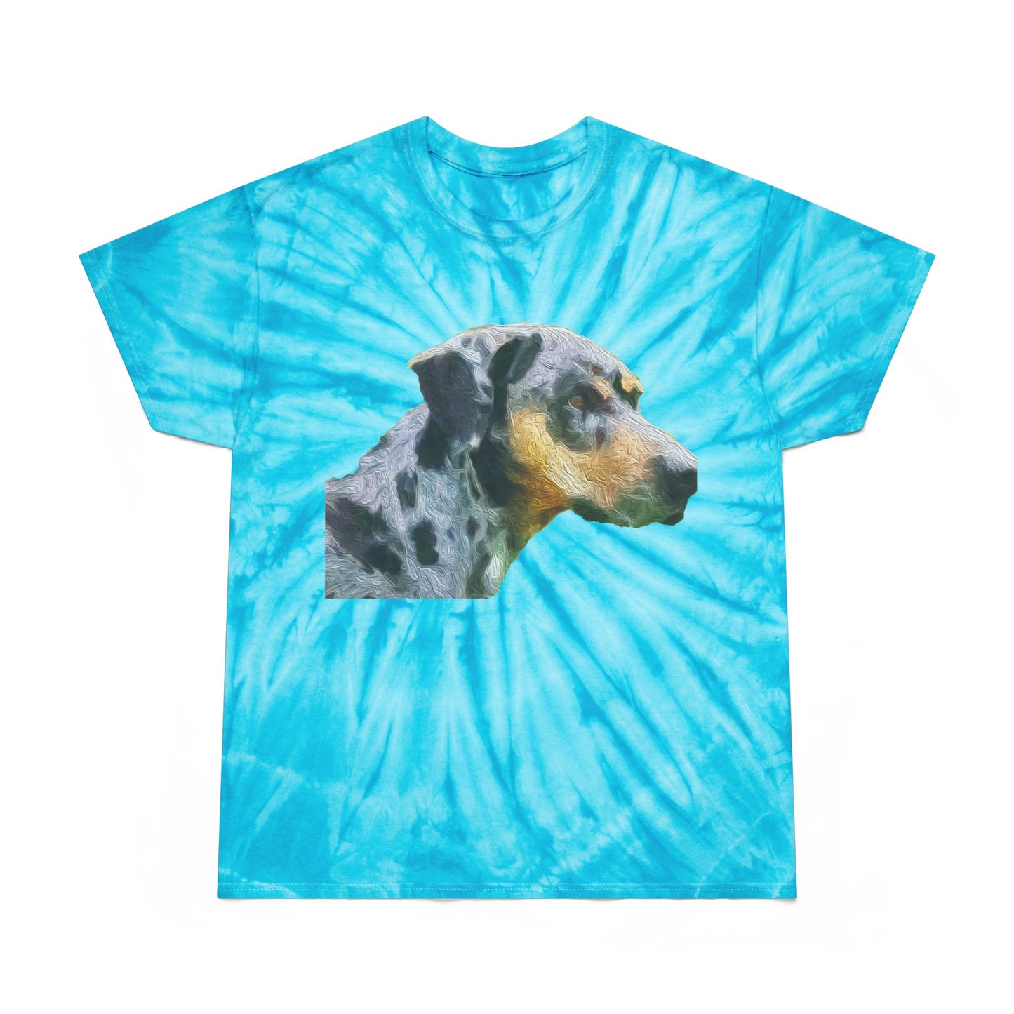 Catahoula 'Clancy' - Unisex Tie-Dye Tee, Cyclone