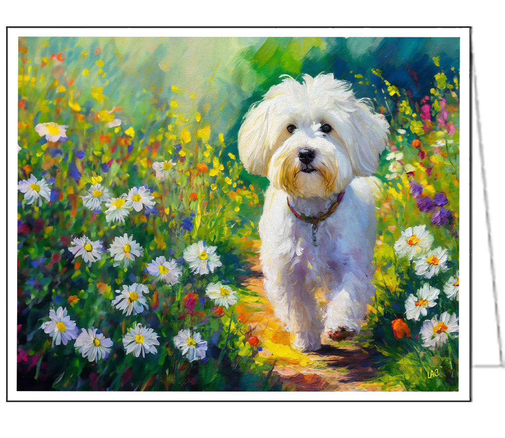 Bolognese Fine Art Notecards - Set of Six