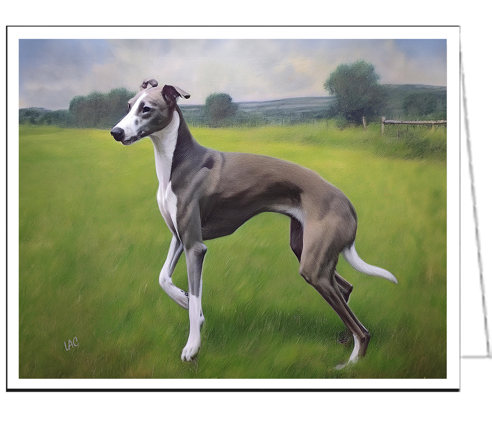 Greyhound Fine Art Notecards - Set of 6