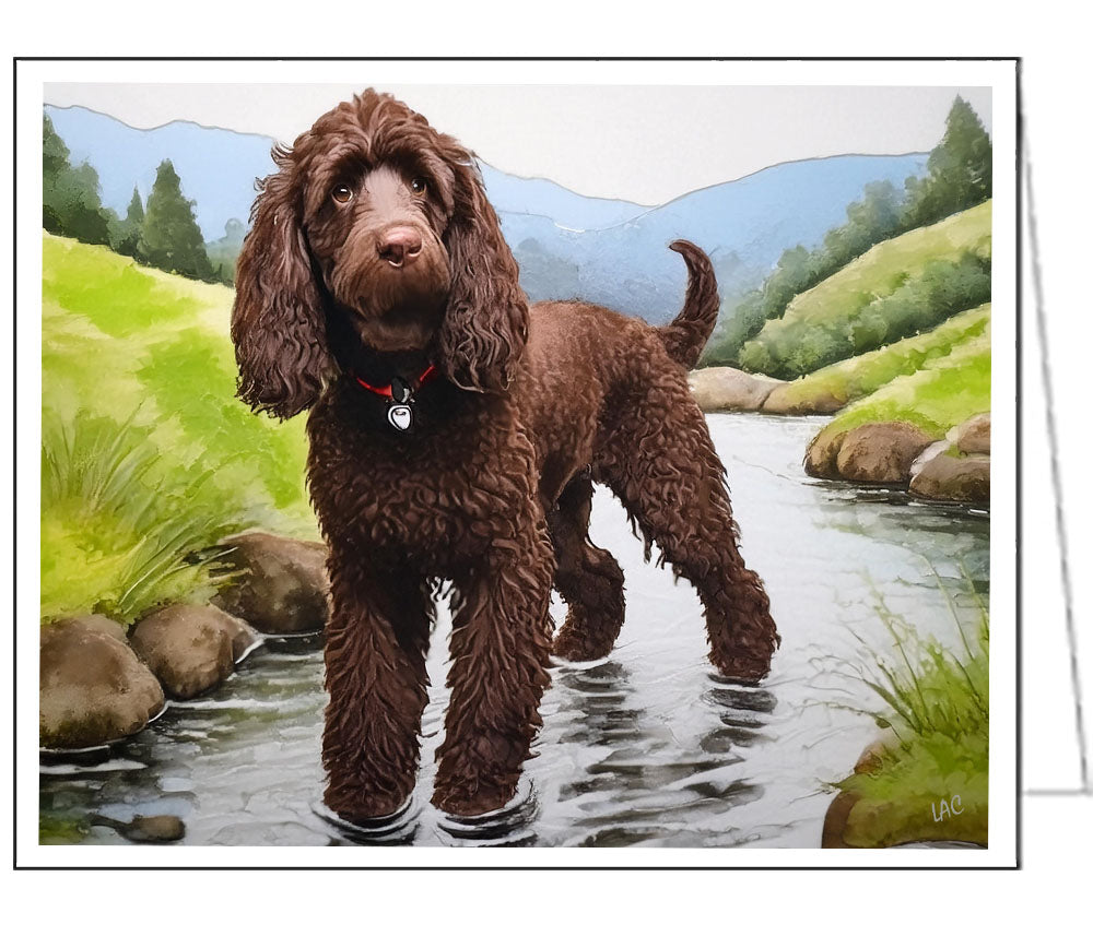 Majestic Irish Water Spaniel Fine Art Notecards - Set of Six