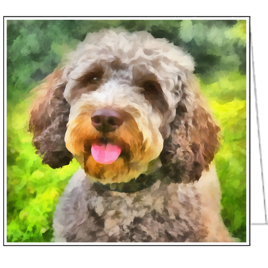 Lagotto Romagnolo Notecards - Set of Six - - - 5¼ x 5¼ Inches