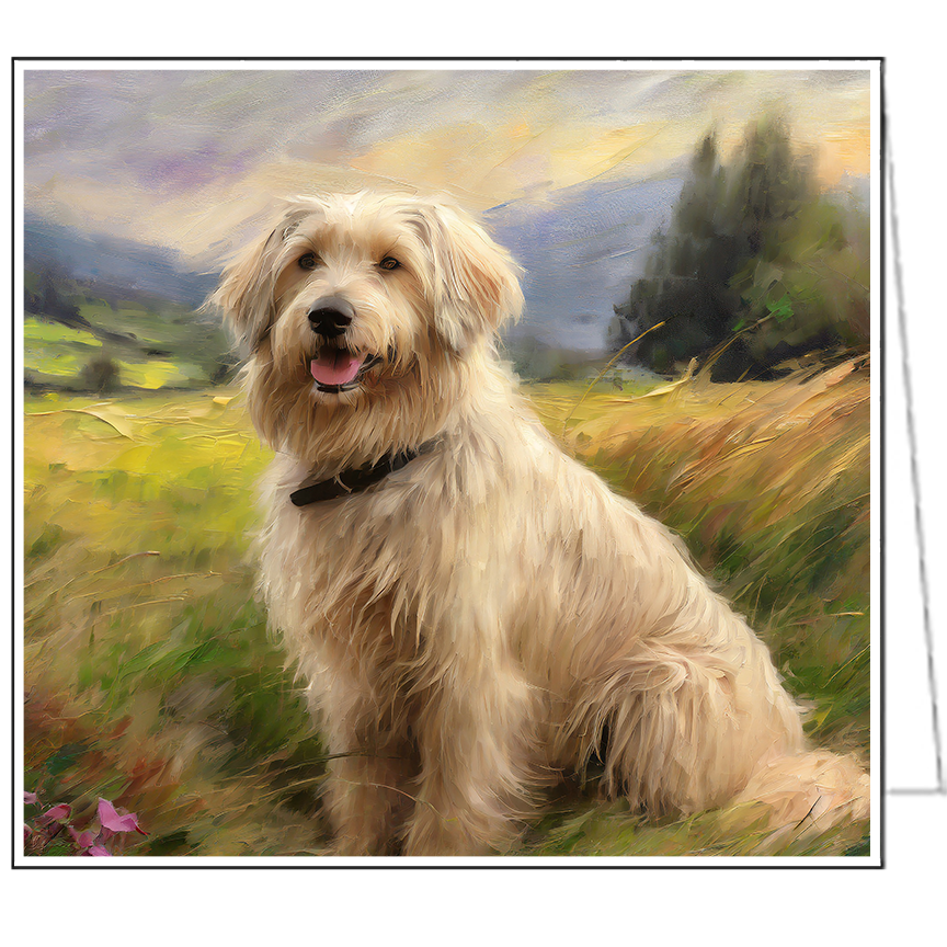 Pyrenean Shepherd Notecards - Set of Six - - - 5¼ x 5¼ Inches