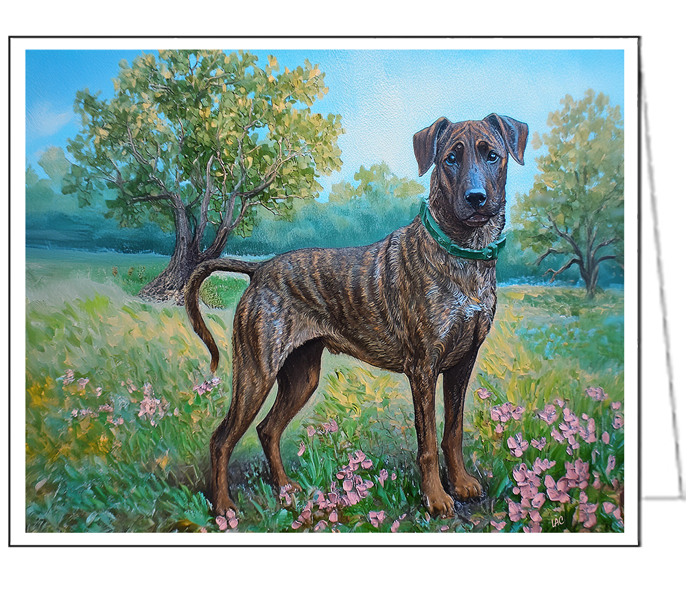 Treeing Tennessee Brindle Fine Art Notecards - Set of Six - 5 x 7 Inches
