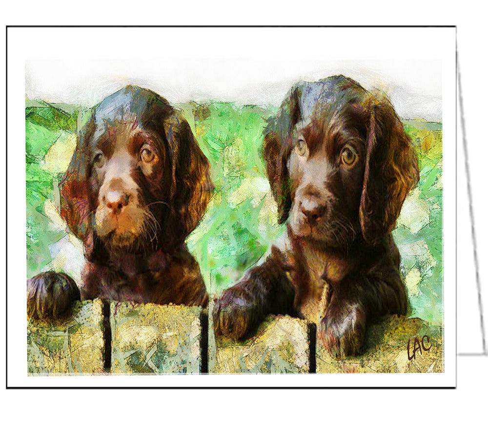 Boykin Spaniels Fine Art Notecards - Set of Six