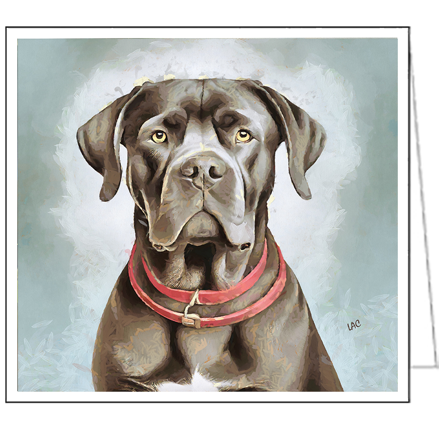 Cane Corso Notecards - Set of 6 - -