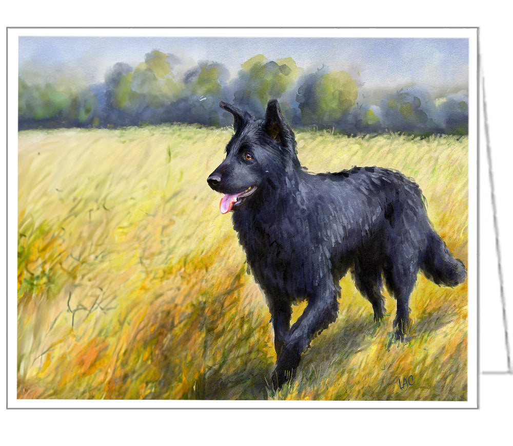 Mudi - Herding Dog Notecards - Set of Six - - 5 x 7 Inches