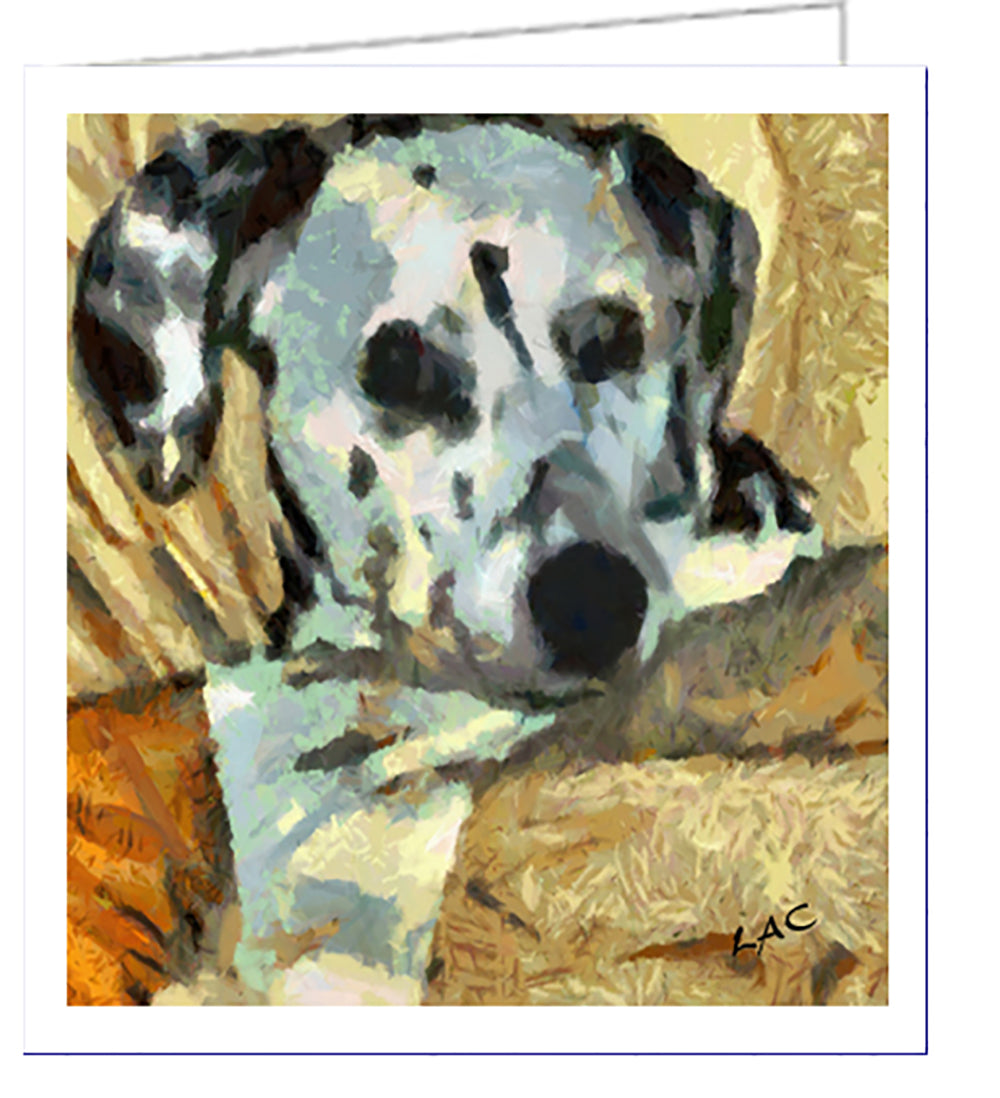 Dalmatian 'Night Time' Fine Art Notecards - Set of Six