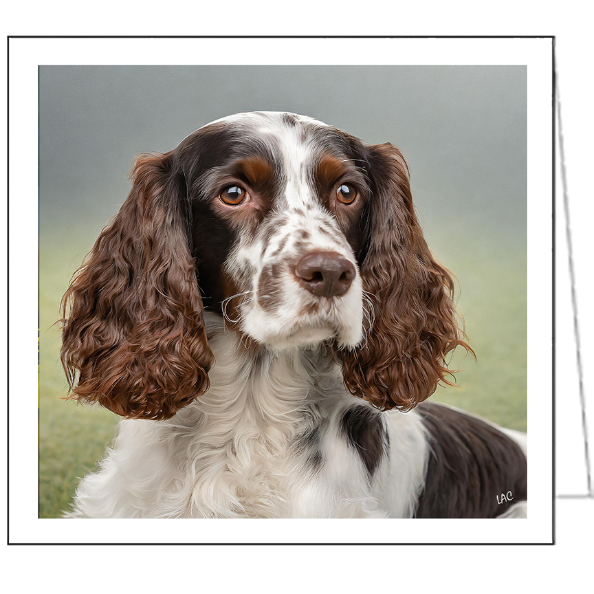 French Spaniel Fine Art Notecards Set of Six - 5¼ x 5¼ Inches