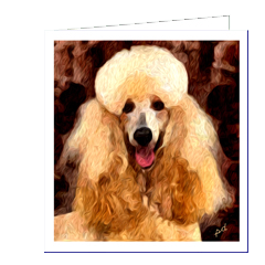 Standard Poodle - Tulip Fine Art Notecards - Set of Six 5¼ x 5¼