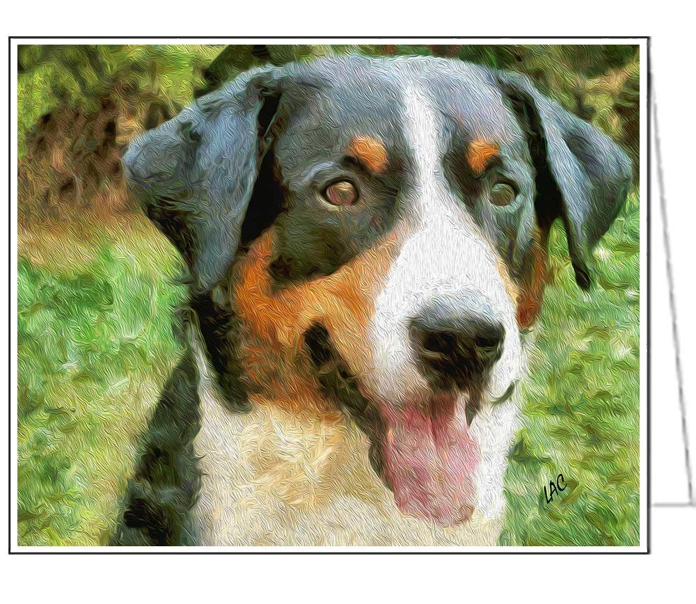 Appenzeller Sennenhund- Set of 6 Blank Notecards