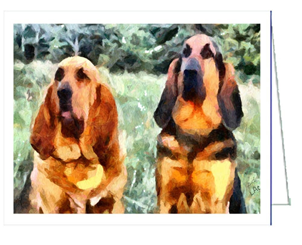 Blood Hounds 'Bear & Bubba' - Set of 6 Blank Notecards 5 x 7 inches each