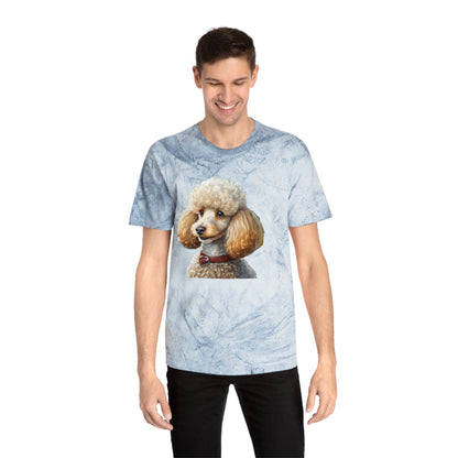 Standard Poodle #2 - Classic Color Blast T-Shirt