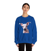 Amerian Haireless Terrier Unisex 50/50 Crewneck Sweatshirt