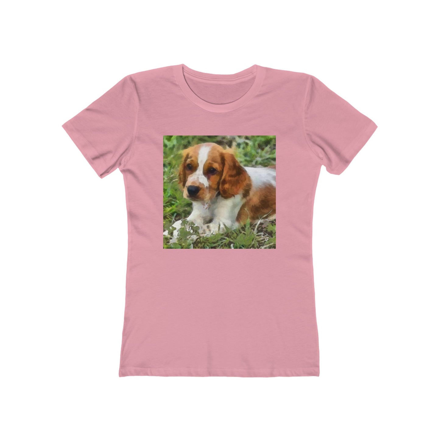 Welsh Springer Spaniel Women's Slim Fit T-Shirt