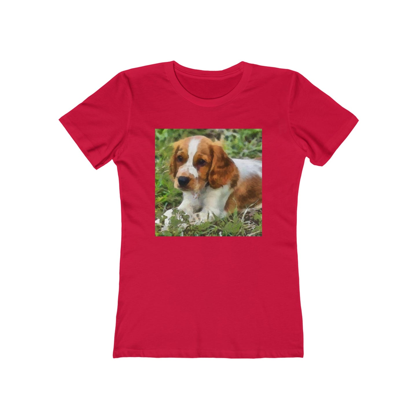Welsh Springer Spaniel Women's Slim Fit T-Shirt