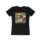 Welsh Springer Spaniel Women's Slim Fit T-Shirt