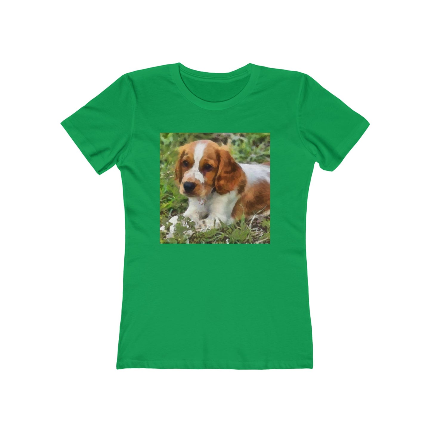 Welsh Springer Spaniel Women's Slim Fit T-Shirt