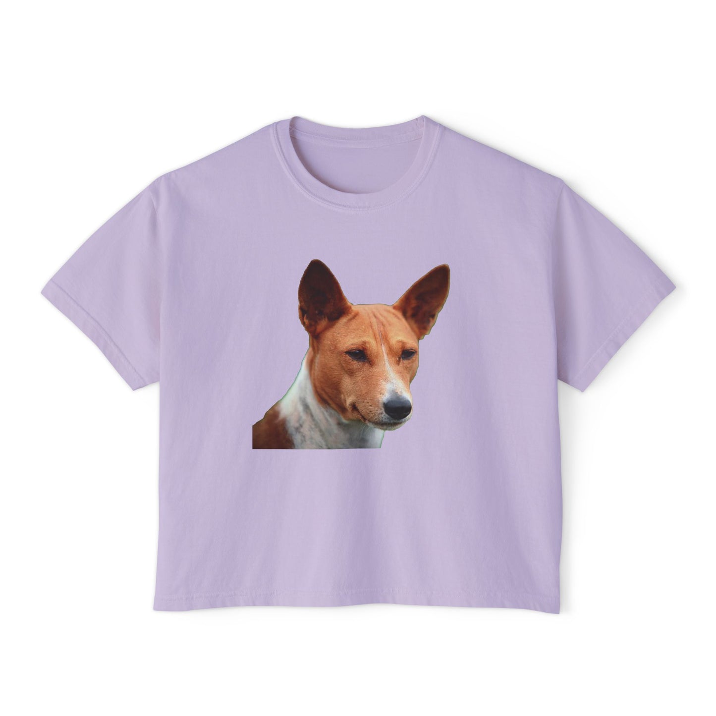 Basenji Women's Oversized Boxy Tee