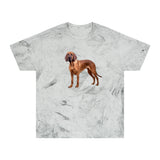 Bloodhound Unisex Color Blast T-Shirt