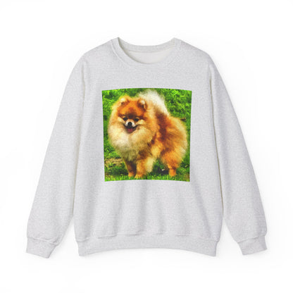 Pomeranian 'Pom Pom' Unisex Crewneck Sweatshirt