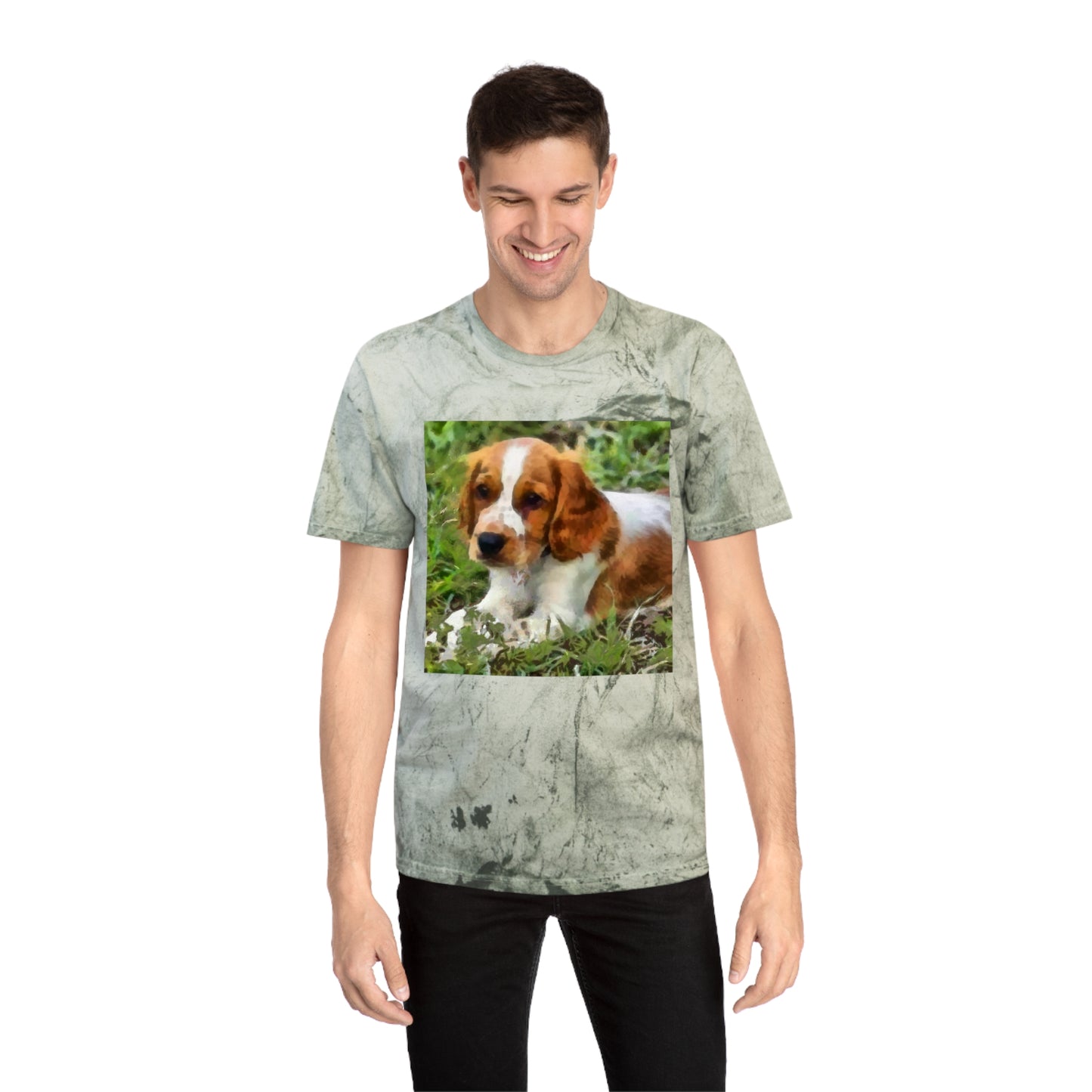 Welsh Springer Spaniel Unisex Color Blast T-Shirt