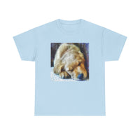 Zuko's Cozy Adventure Tee