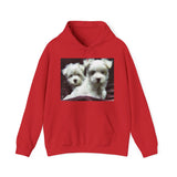 Maltese - Unisex 50/50 Hoodie