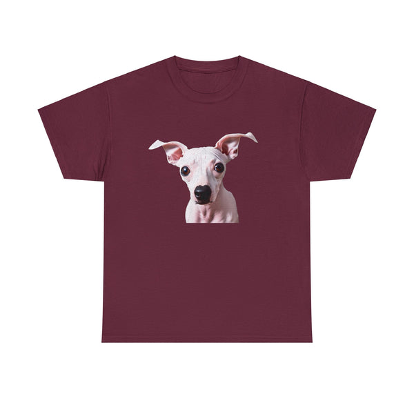 American Hairless Terrier - Classic Heavy Cotton Tee
