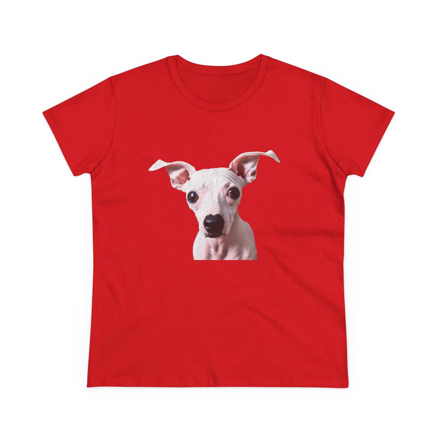 American Hairless Terrier Women's Midweight Cotton Tee
