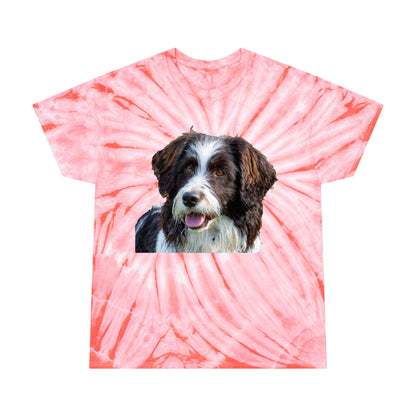 Drentsche Patrijshond Classic Tie-Dye Tee, Cyclone