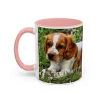 Welsh Springer Spaniel Ceramic Accent Coffee Mug (11, 15oz)