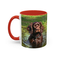 Boykin Spaniel - Ceramic Accent Coffee Mug - 2 Sizes