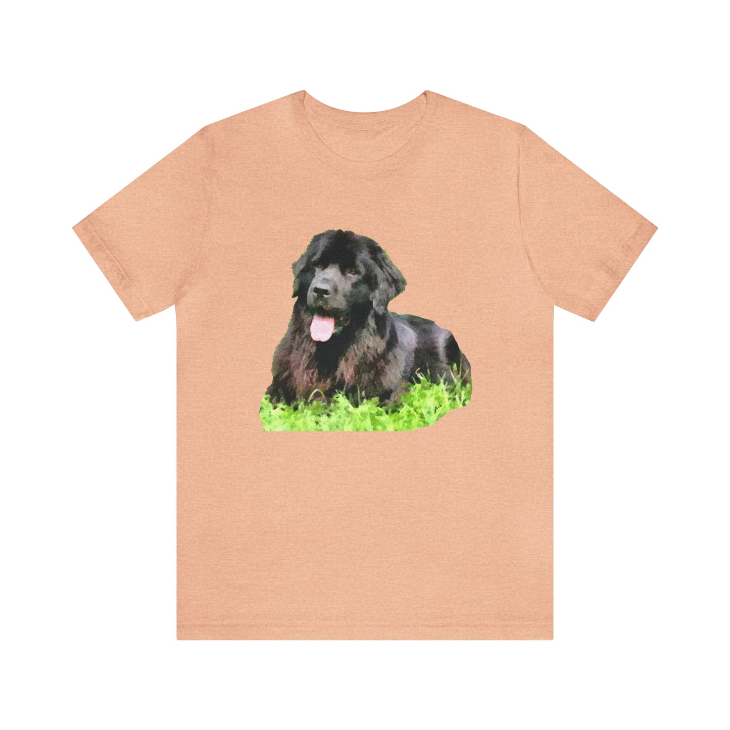 Newfoundland 'Madden'  -  Classic Jersey Short Sleeve Tee
