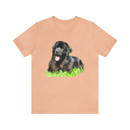 Newfoundland 'Madden'  -  Classic Jersey Short Sleeve Tee