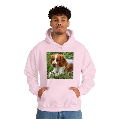 Welsh Springer Spaniel Unisex 50/50 Hoodie
