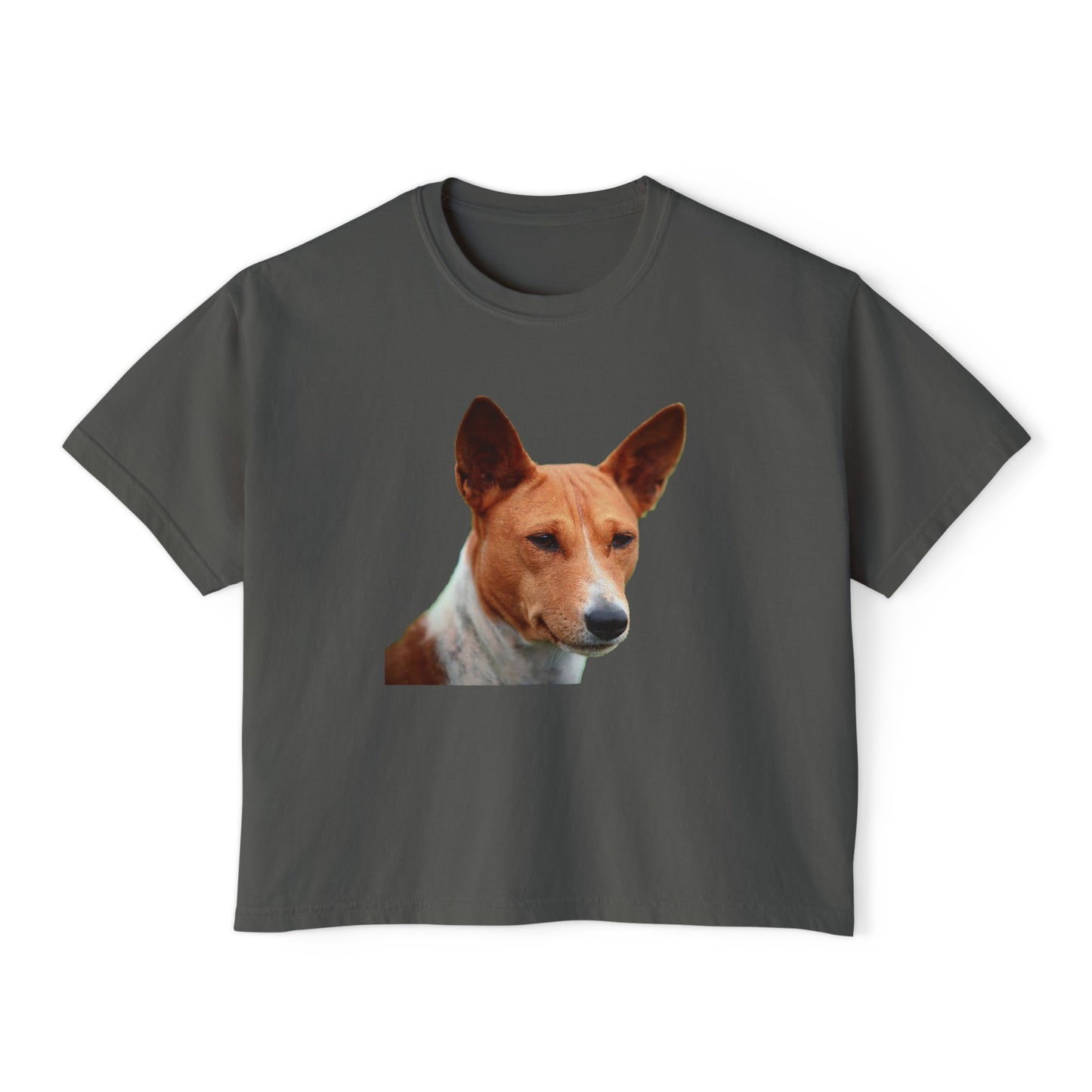 Basenji Women's Oversized Boxy Tee: A Harmony of Style and Comfort