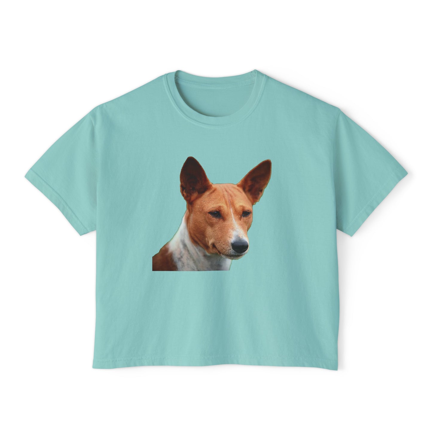 Basenji Women's Oversized Boxy Tee: A Harmony of Style and Comfort