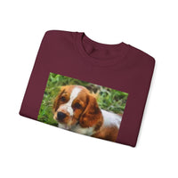 Welsh Springer Spaniel Unisex Crewneck Sweatshirt