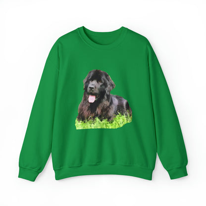 Newfoundland 'Madden' Unisex 50/50 Crewneck Sweatshirt