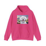 Coton de Tulear  --  Unisex 50/50  Hooded Sweatshirt