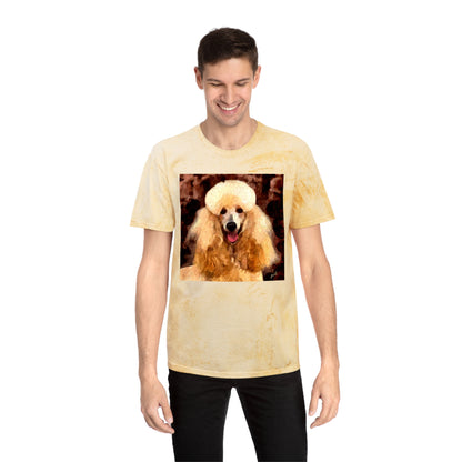 Poodle Cotton Unisex Color Blast T-Shirt